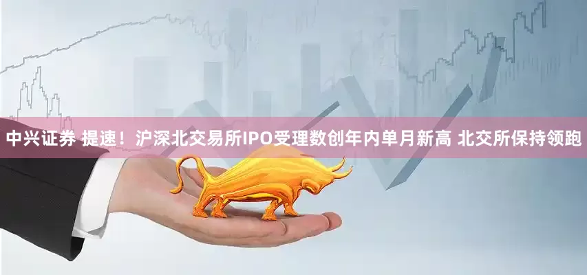 中兴证券 提速！沪深北交易所IPO受理数创年内单月新高 北交所保持领跑