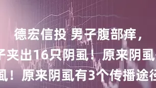 德宏信投 男子腹部痒，医生用镊子夹出16只阴虱！原来阴虱有3个传播途径