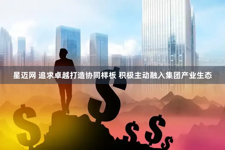 星迈网 追求卓越打造协同样板 积极主动融入集团产业生态