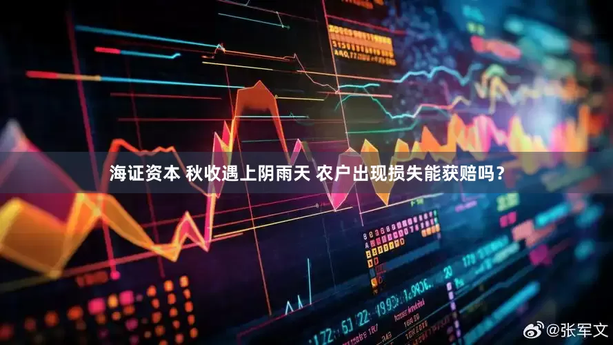 海证资本 秋收遇上阴雨天 农户出现损失能获赔吗？
