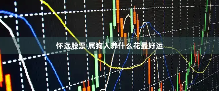 怀远股票 属狗人养什么花最好运